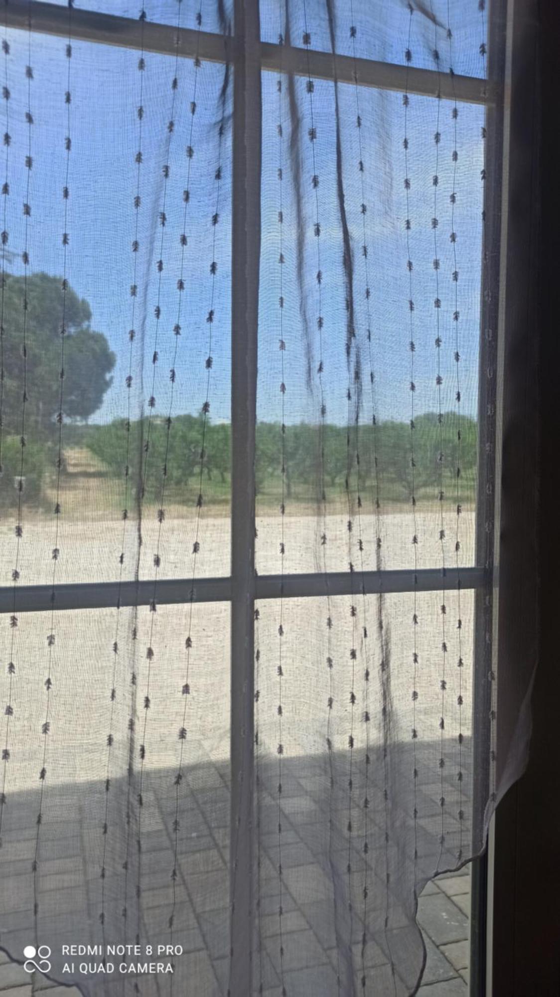 Agriturismo L' Annunziata Lizzano  Δωμάτιο φωτογραφία